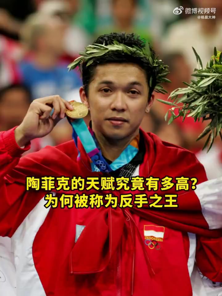 中国羽毛球队碾压法国羽毛球队，陶菲克送出助攻的简单介绍