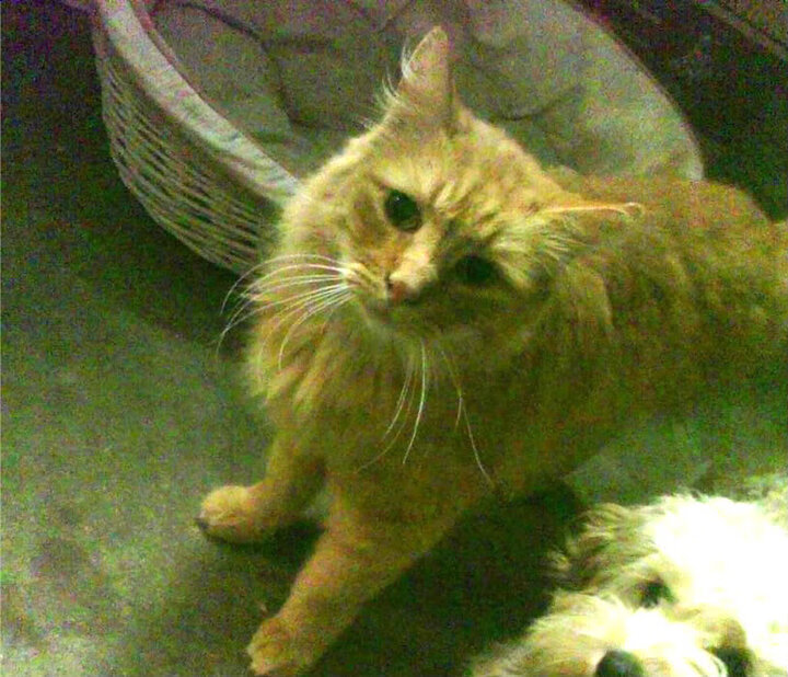 扩展思维后的文章标题